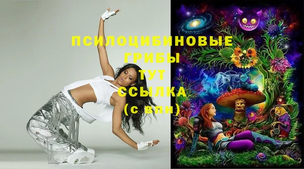 бошки Кодинск