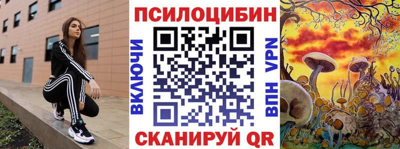 Купить  Жуков  Псилоцибиновые грибы прущие грибы 